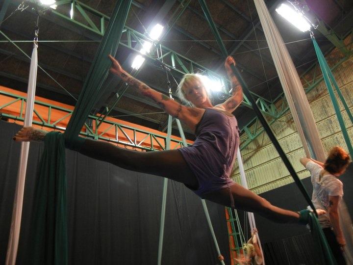 Paradisaea-Aerial-Dance-9
