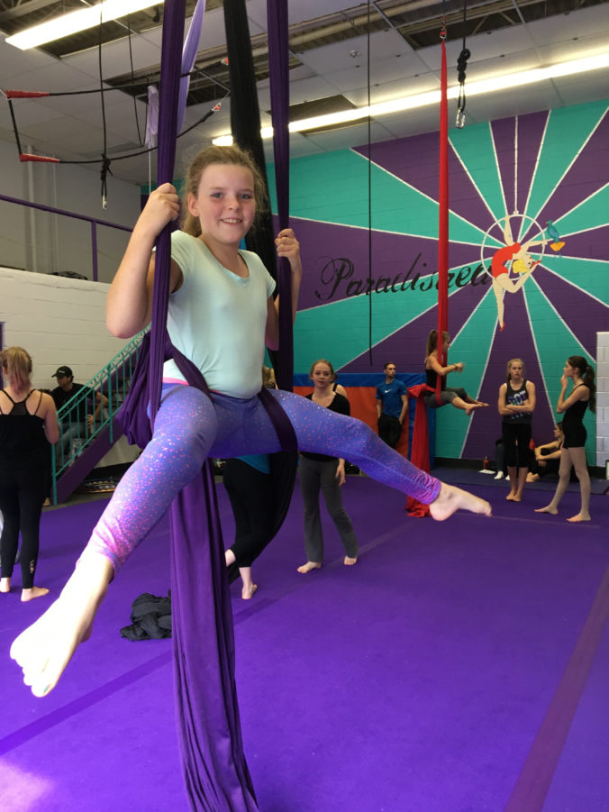 Aerial Silks Paradisaea Circus Arts